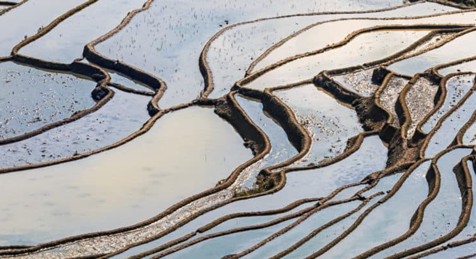 起波浪的水