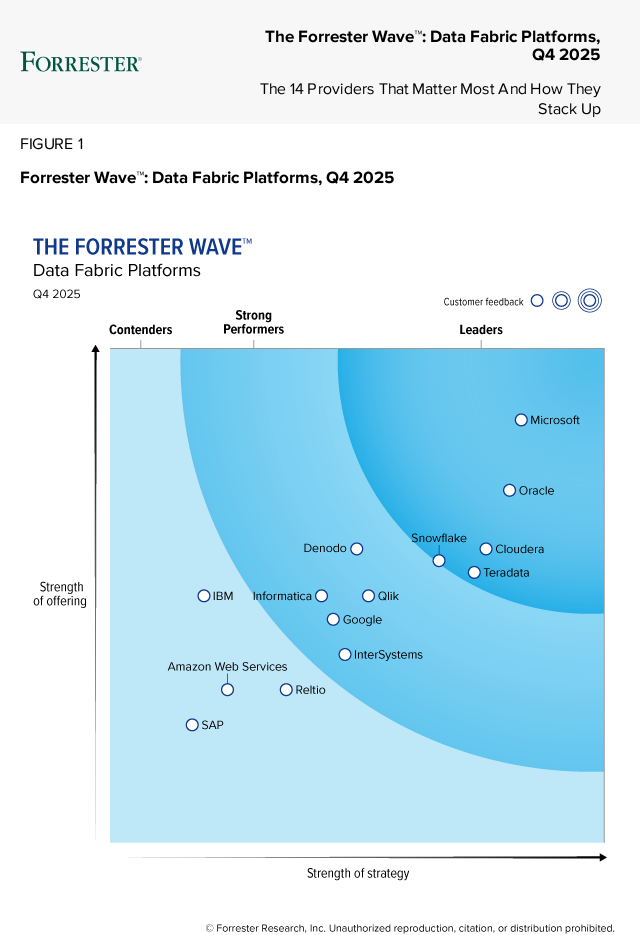 Forrester Wave™ 数据架构平台图
