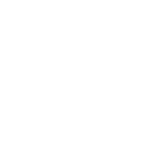 白色数据图标
